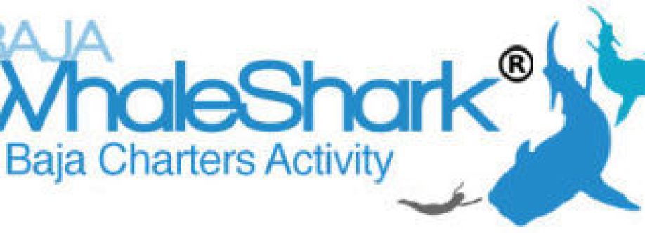 Baja Whale Shark Cover Image