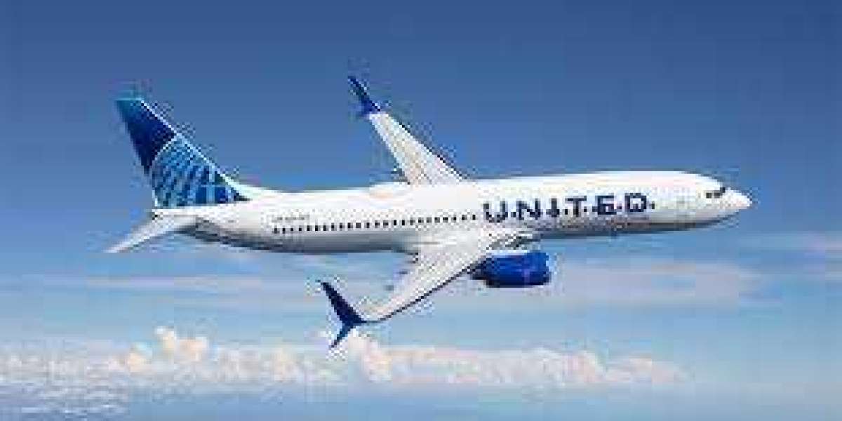 Ultimate United Airlines check-in checklist