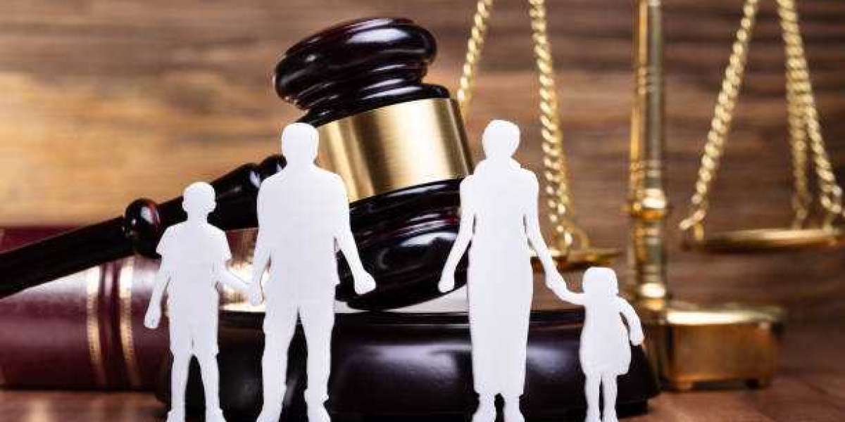 What factors influence child custody decisions?