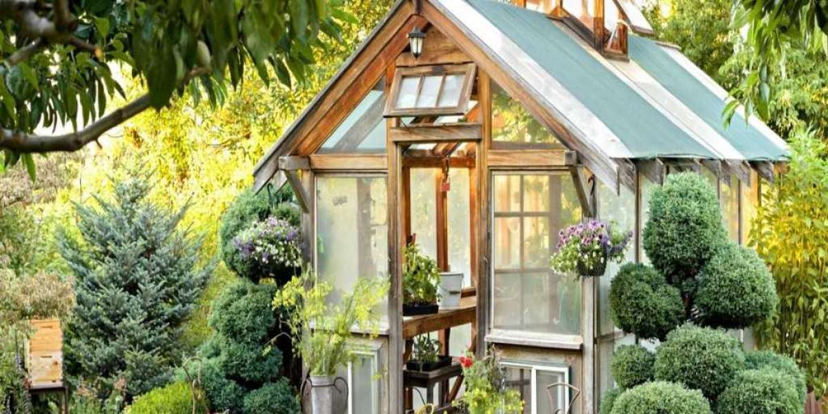 Welcome To The World Of Glasshouses: A Home Gardener's Haven