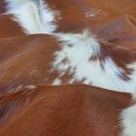 Best Celestial Leather Leather Company Profile Picture