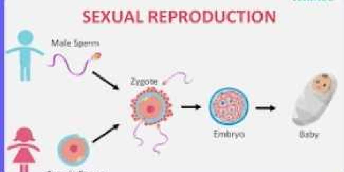 Why Is Reproduction Important?