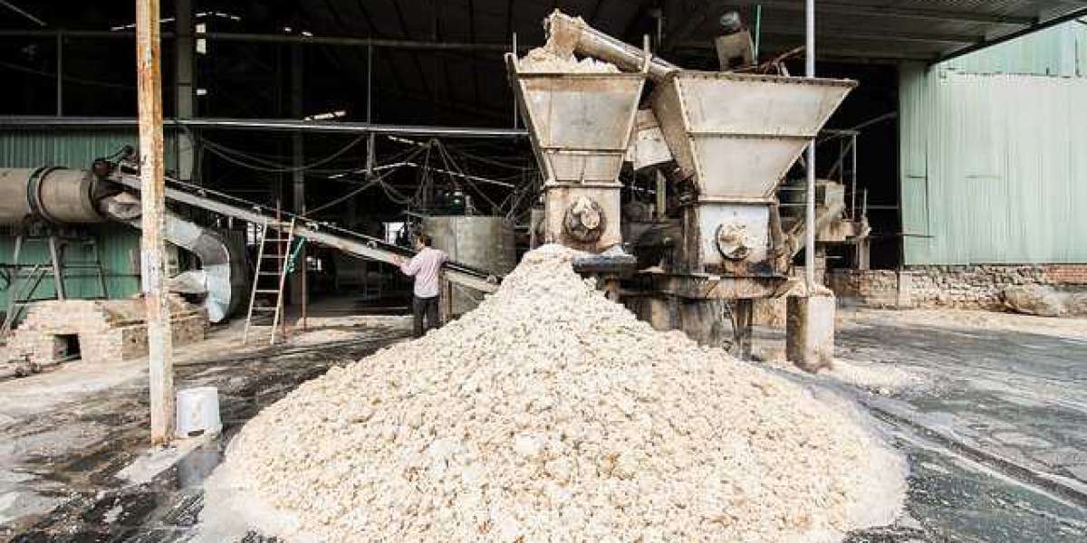 Cassava Processing Plant Project Report 2023: Business Plan, Raw Materials Requirement, Manufacturing Process | IMARC Gr