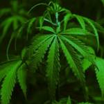 Engineer Victor Bii Profile Picture