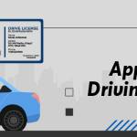 Apply for a Driving License Profile Picture