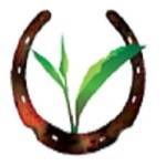 Purvi Discovery Profile Picture