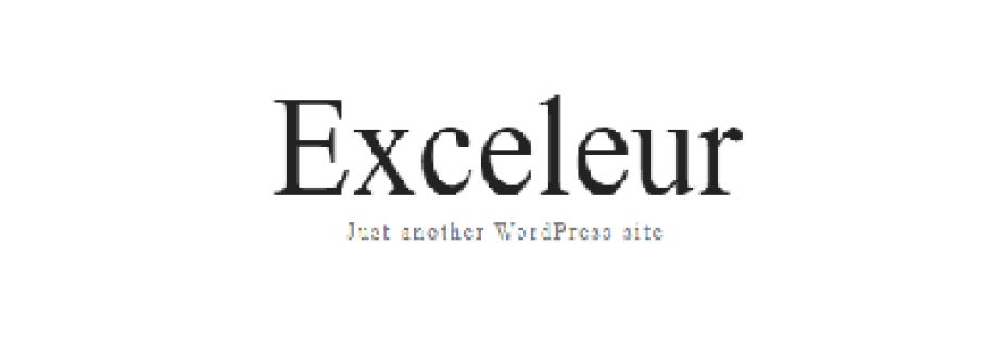 Exceleur Net Cover Image