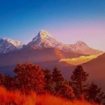 Sherpa Expedition and Trekking Profile Picture