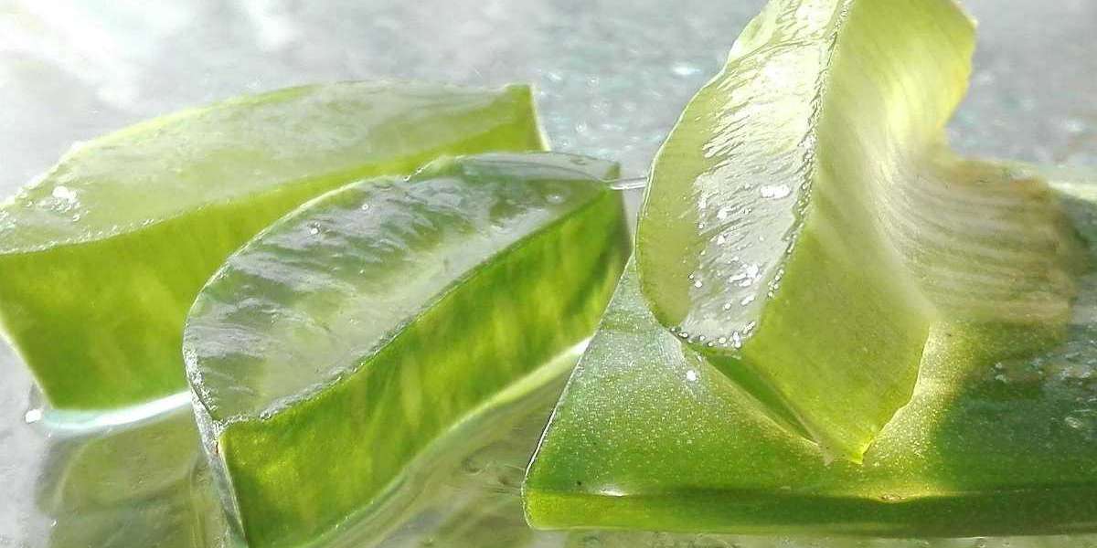 Aloe Vera Gel Manufacturing Plant Project Report 2023: Manufacturing Process, Business Plan, Raw Materials Requirement |