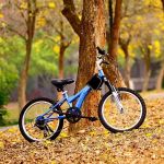 Alexander Wambua Profile Picture