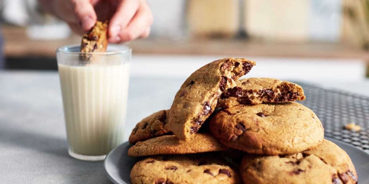 Protein Cookie Market: Experience a New Level of Health-Conscious Snack