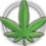 GreenstoneRetail Profile Picture