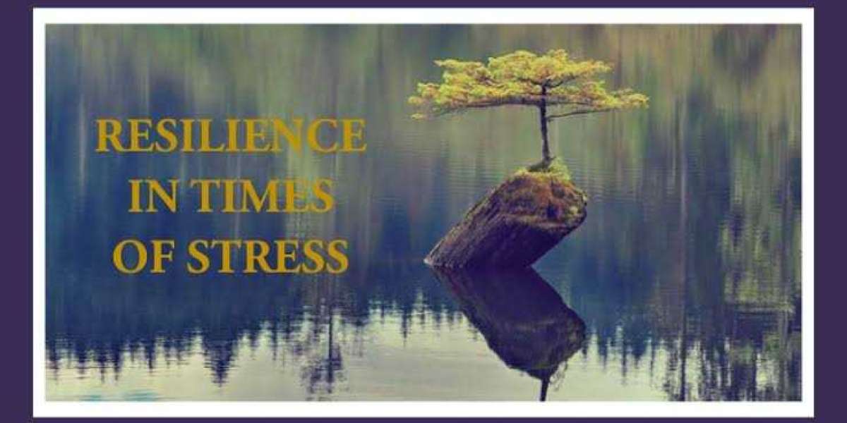 Resilience: Embrace Life's Challenges