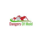 Dangers Of Mold profile picture