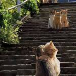 Santana Nyams Profile Picture