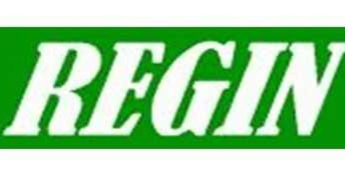 Regin Smoke Cartridges: Revolutionizing Fire Safety with Cutting-Edge Technology