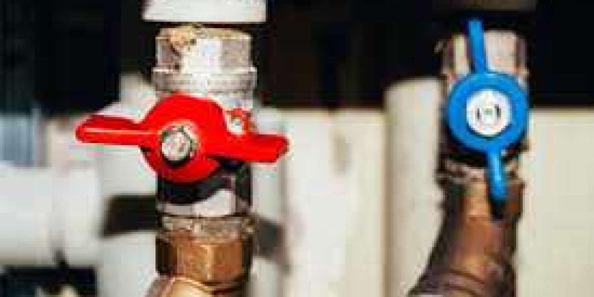 What is the most common valve failure?