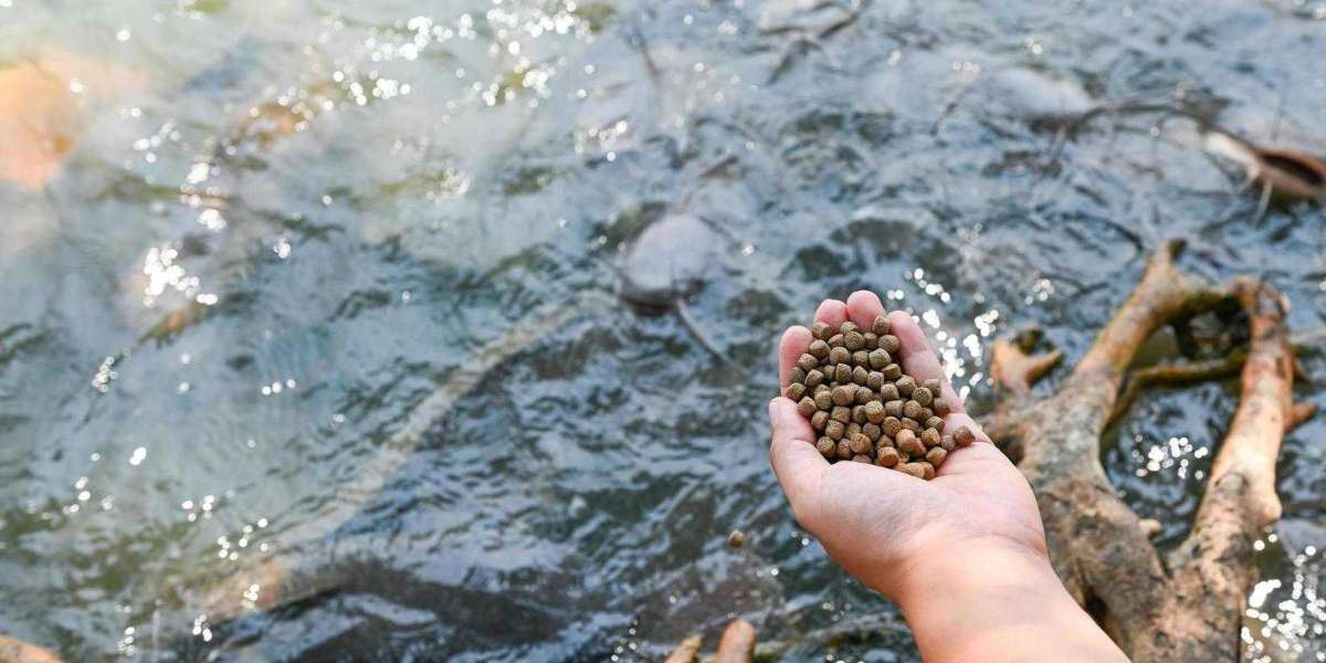 Aquafeed Market Outlook: Assessing Market Size, Share, and Competitive Landscape for Aquaculture Feed