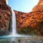 Wilfred Kagio Profile Picture