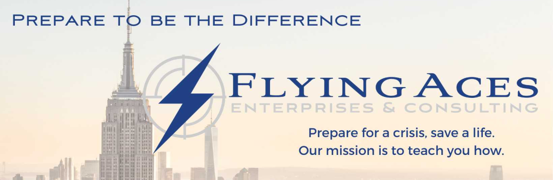 Flying Aces Consulting Cover Image