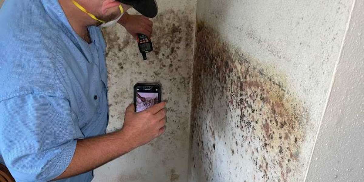 Mold Inspection & Testing: Safeguard Your Space