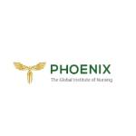 Phoenix_Nursing Institute Profile Picture