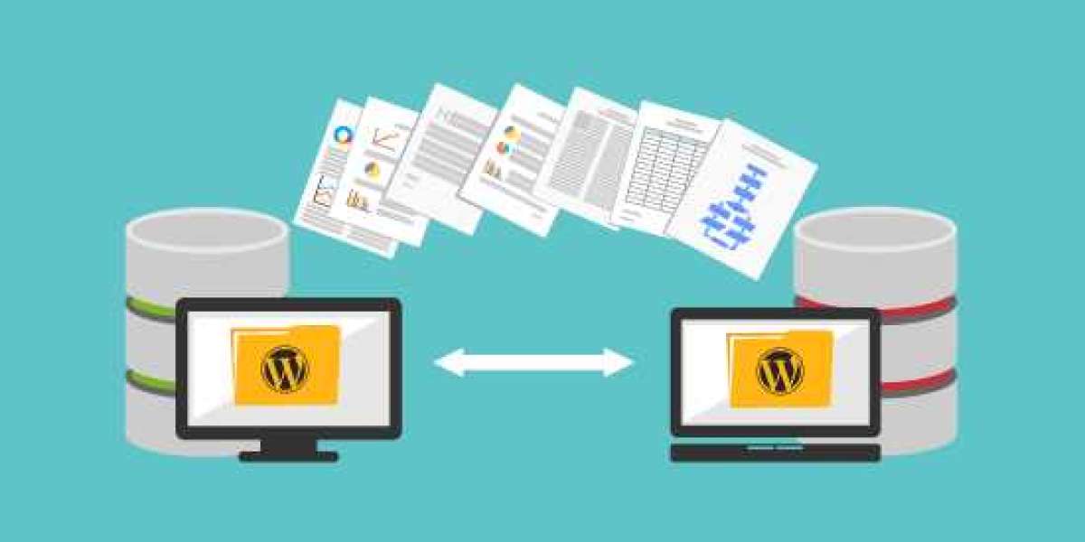 Innovative Functionality: Expert WordPress Plugin Development