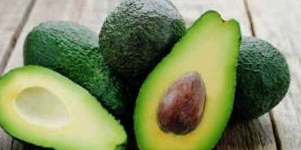 Investigating the Dietary and Medical advantages of Avocados