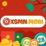Kết quả XSMN hôm nay xem tại website XSMNmobi profile picture