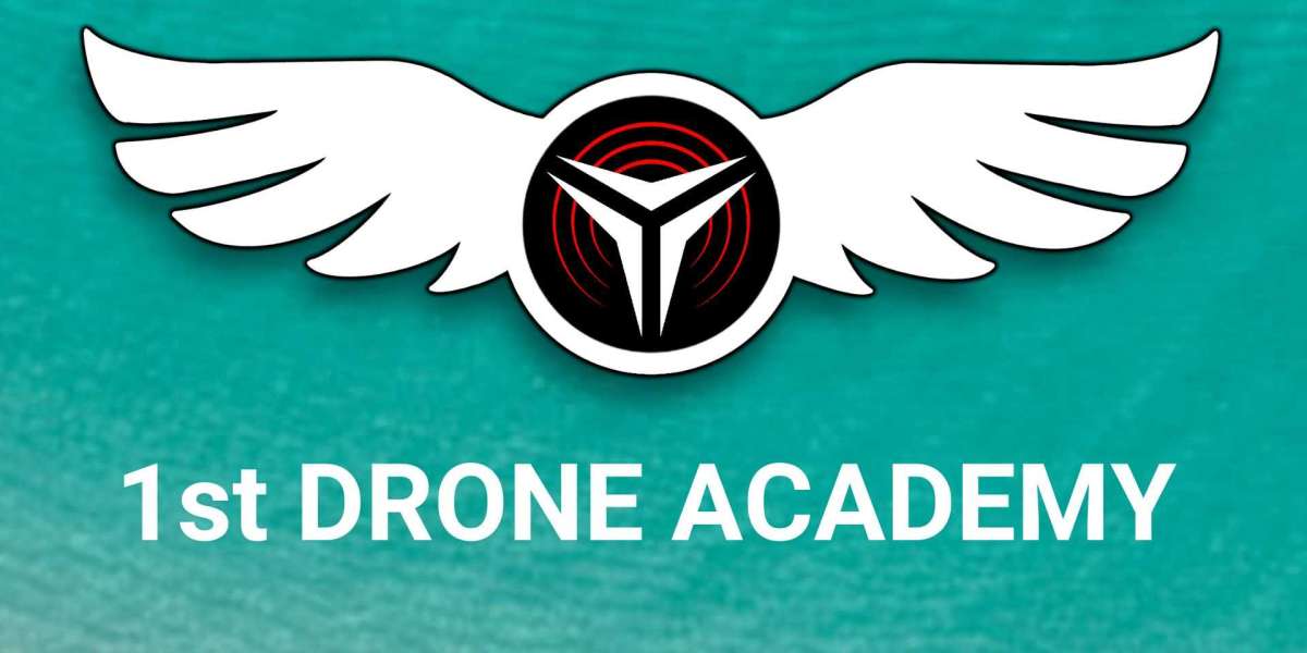Learning to Fly: A Comprehensive Overview of Online Drone Training