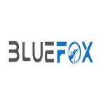 bluefoxto Profile Picture