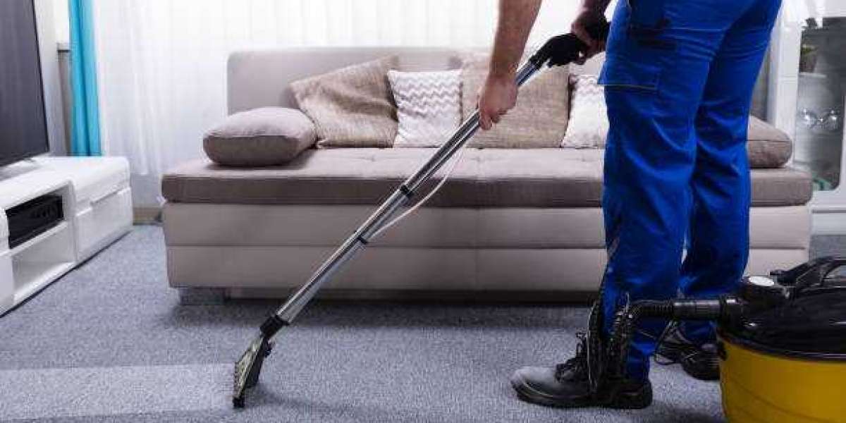 Professional Carpet Cleaning: A Wise Investment for Healthier Living