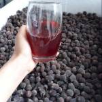 Haneda Profile Picture