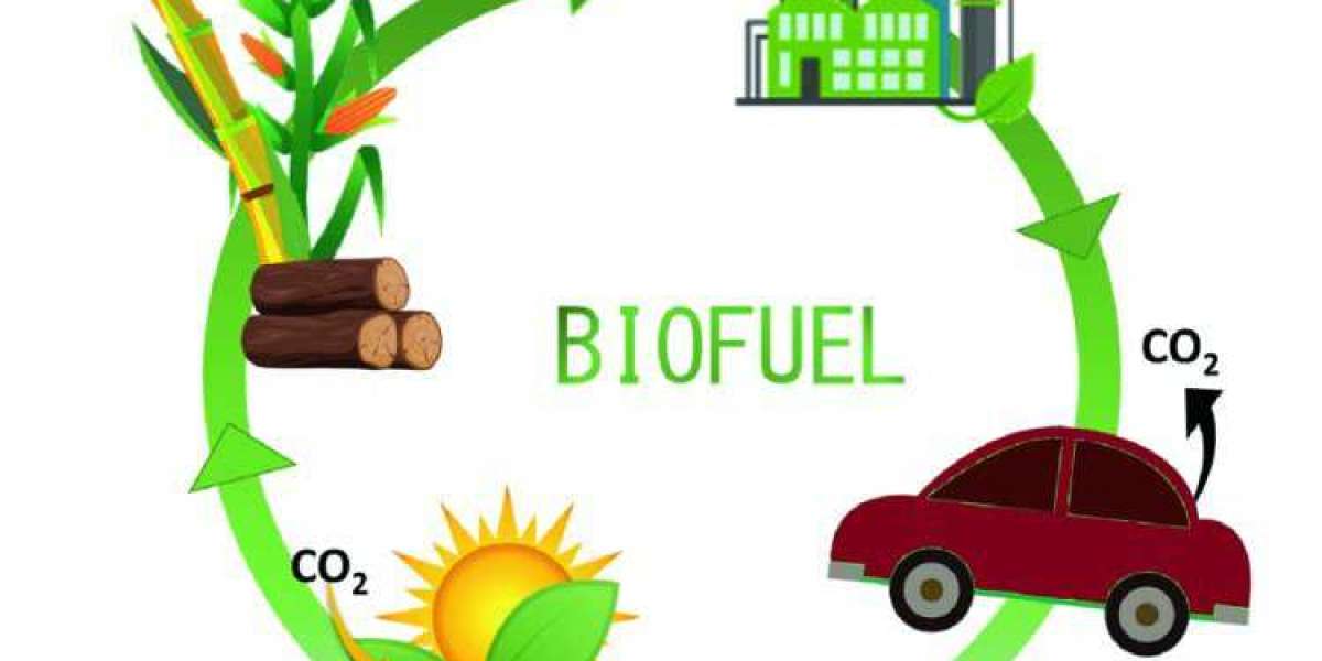 Technological Revolution in Biofuels Market A Catalyst for Growth and Innovation