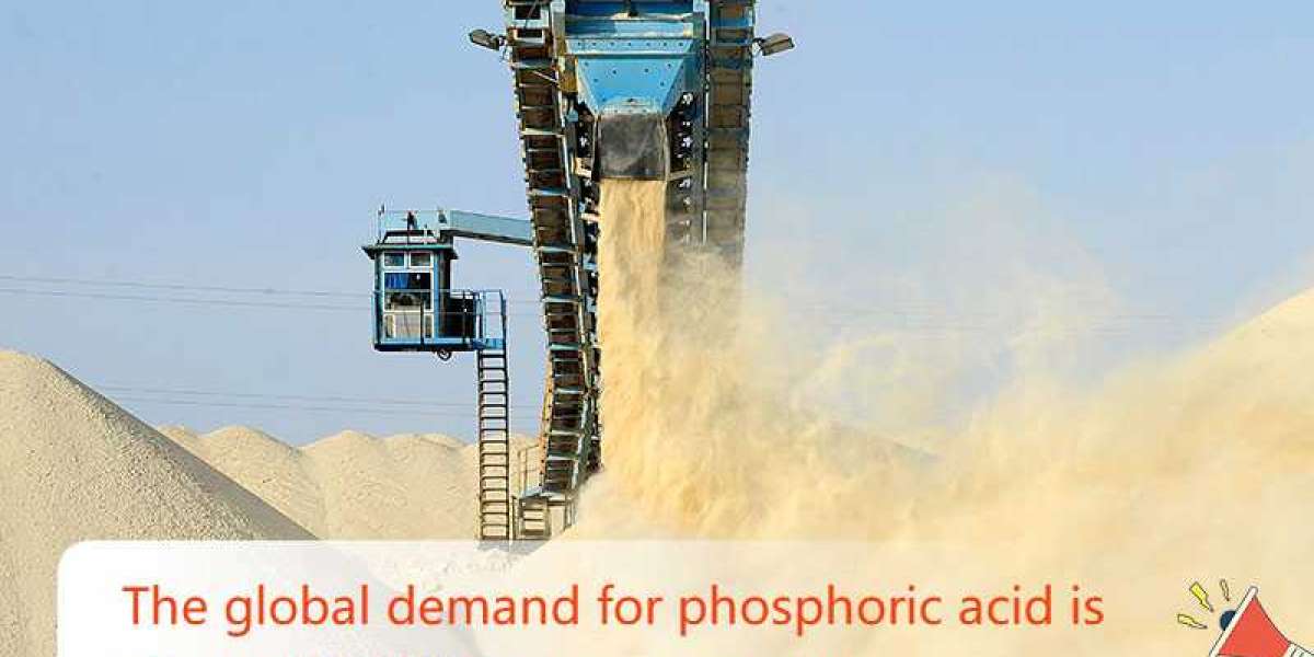 5 Tips on Phosphate Fertilizers for Plant