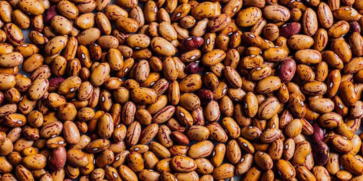 From Beans to Bonds: Varied Ways to Expand Your Riches