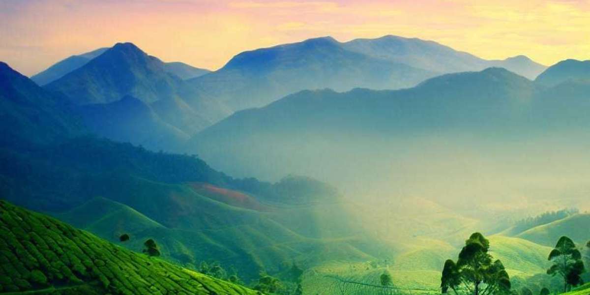 Best Coorg Packages from Bangalore