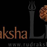 rudrakshalife rudrakshalife Profile Picture