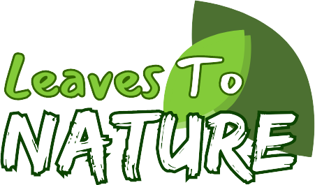 Leaves to Nature: Organic, Gardening & Vegan Recipes