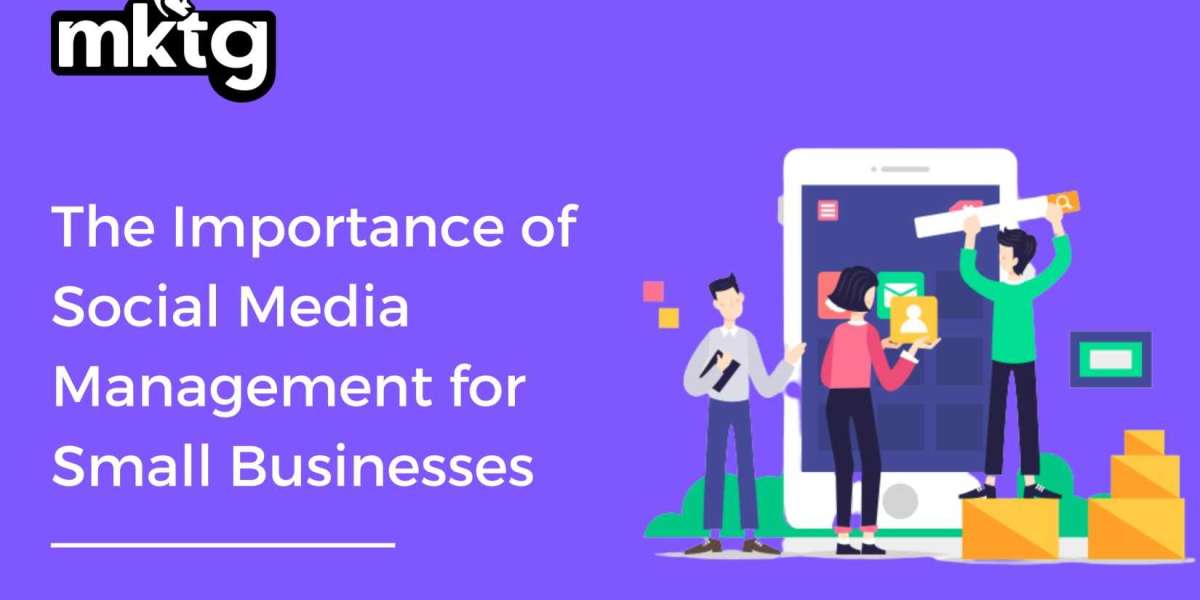 The Importance of Social Media Management for Small Businesses