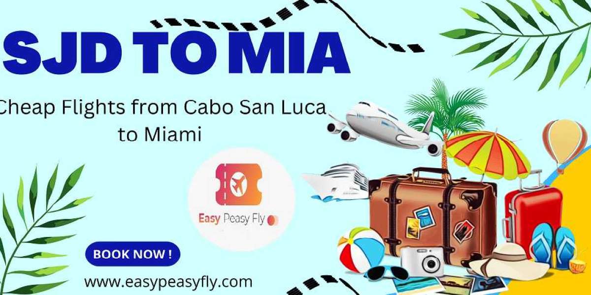 Discovering the Best Flight Deals from Cabo San Lucas to Miami