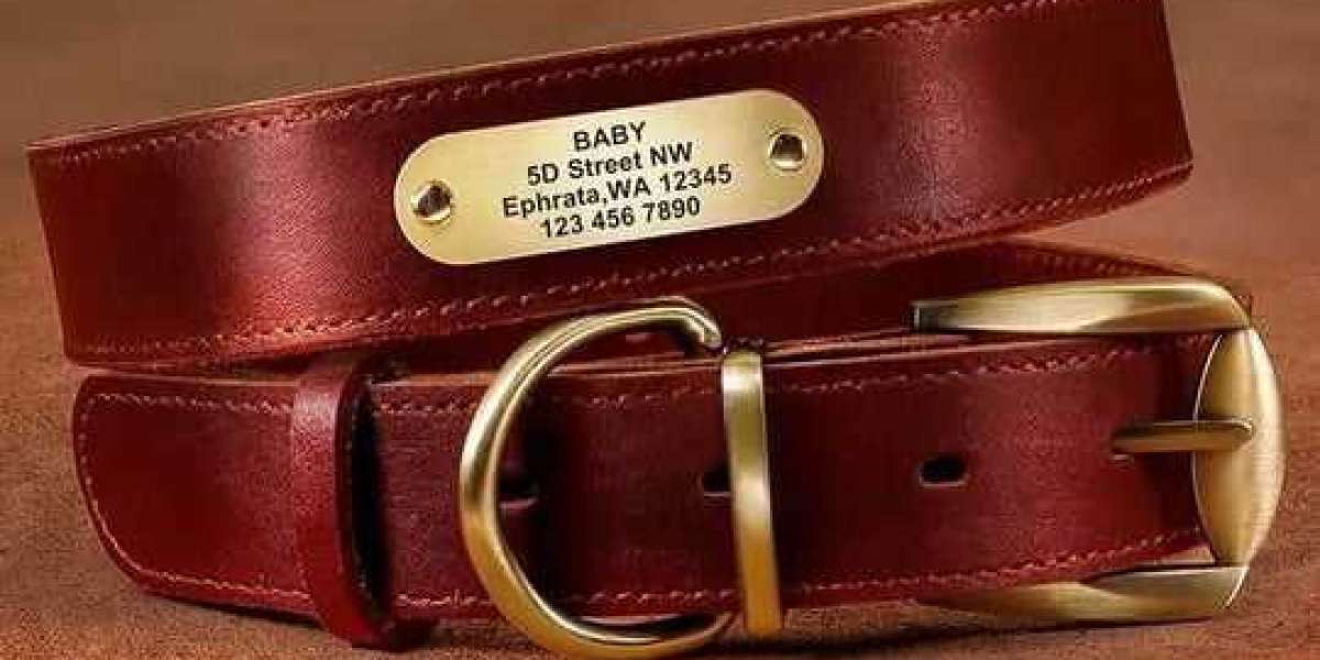 The Mix of Comfort and Safety: Why Choose Leather Name Collars
