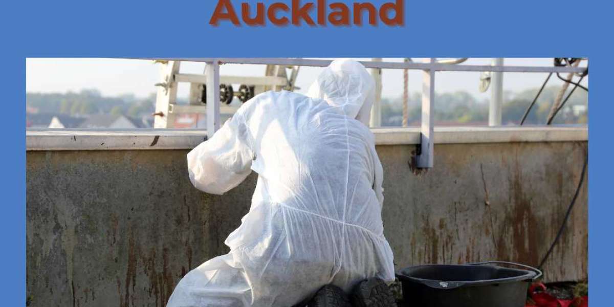 Auckland's Reliable Asbestos Risk Evaluation and Handling