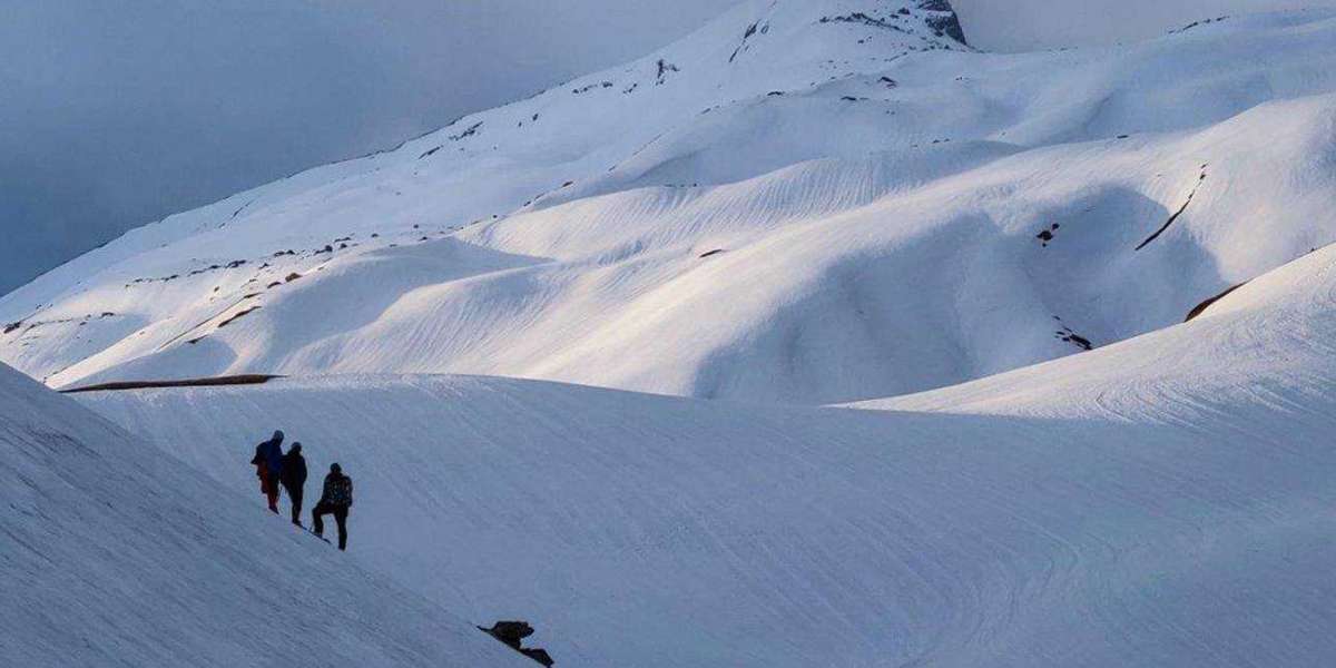 Above the Clouds: Trekking the Majestic Pangarchulla Peak