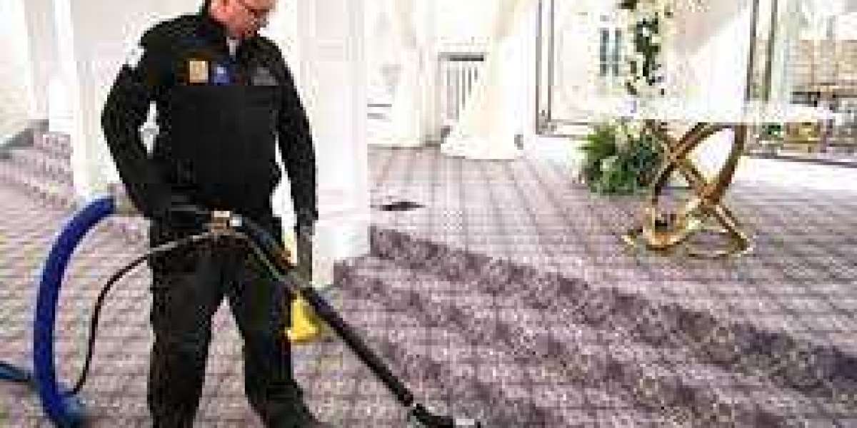 How Professional Carpet Cleaning Services Save You Money