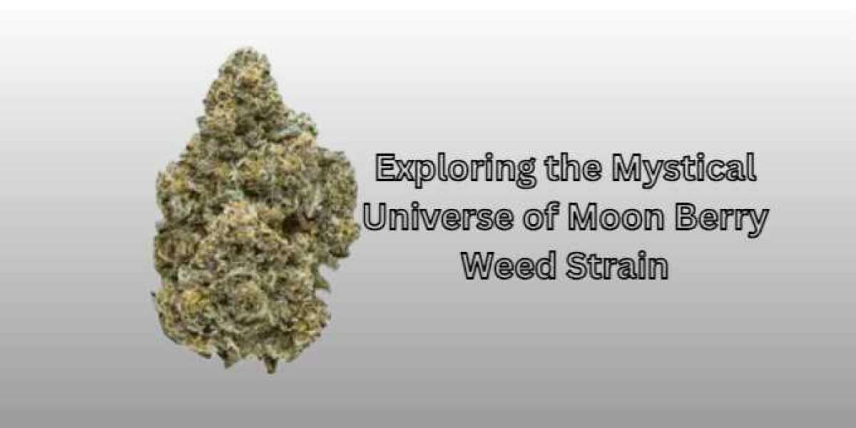 Exploring the Mystical Universe of Moon Berry Weed Strain