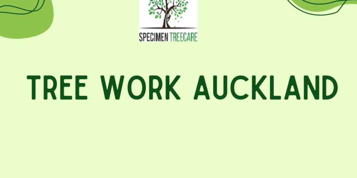 Auckland Tree Work Experts: Caringly Changing Your Landscape