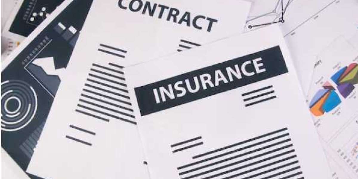 Work Comp Insurance: Where to Buy FL