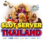 Slot Online Server Thailand Profile Picture