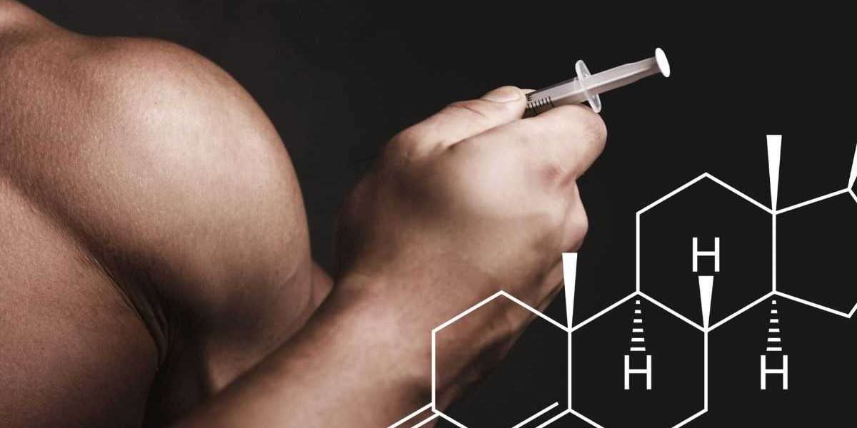 Maximizing Testosterone Levels for Muscle Mass Gain